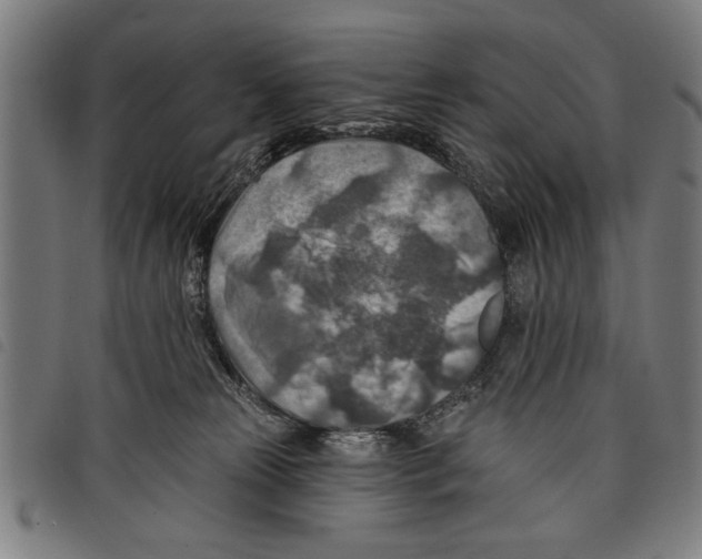 X0000097770181200804041200