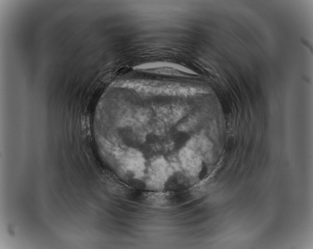 X0000097770182200804041200