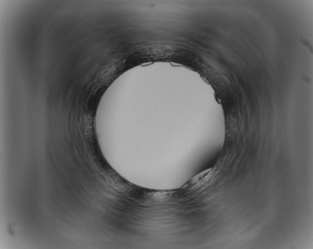 X0000097770184200804041200