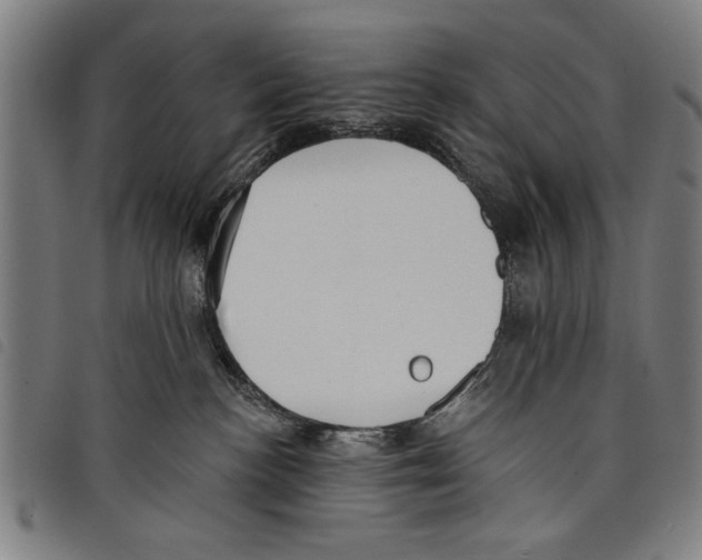 X0000097770188200804041200