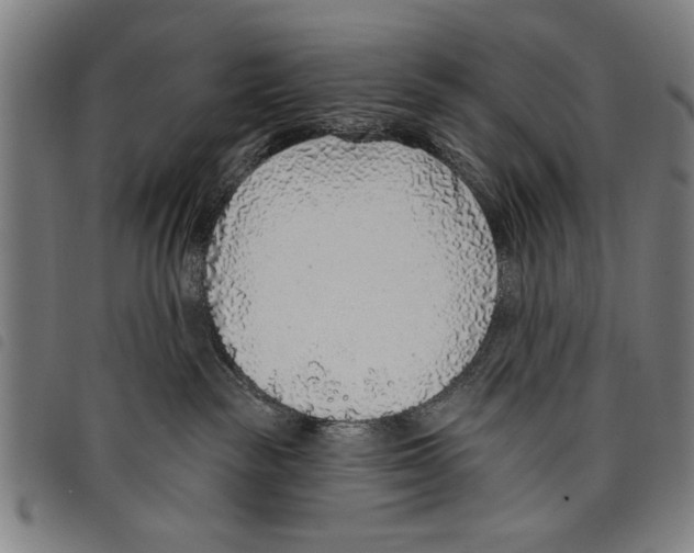 X0000097770189200804041200