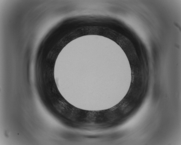 X0000097770190200804041200