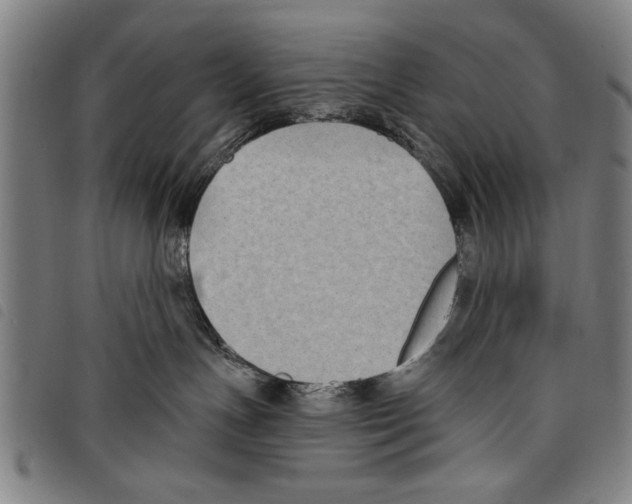 X0000097770191200804041200
