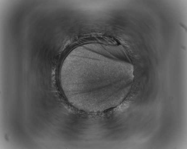 X0000097770192200804041200