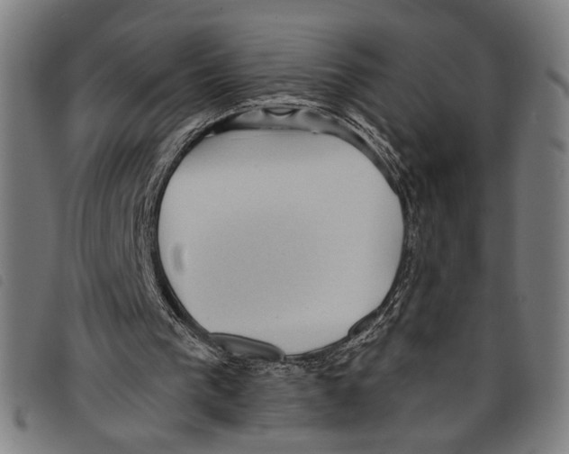X0000097770193200804041159
