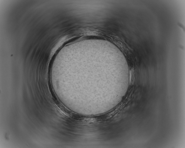X0000097770195200804041159