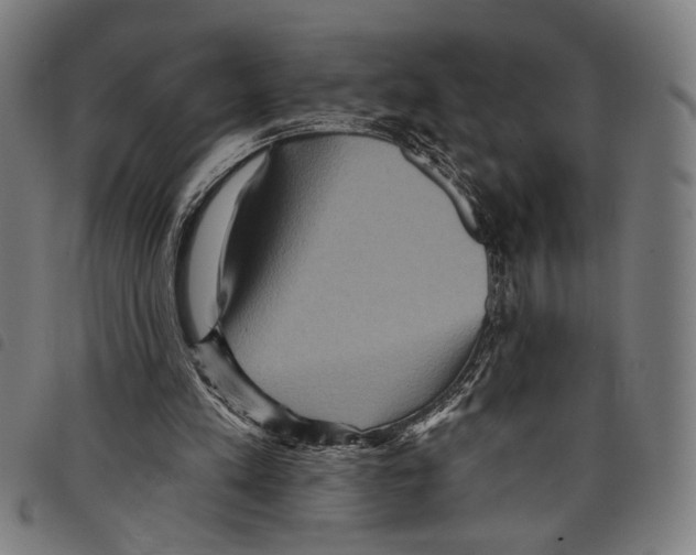 X0000097770197200804041159