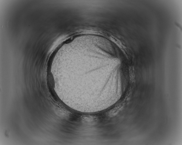 X0000097770199200804041159