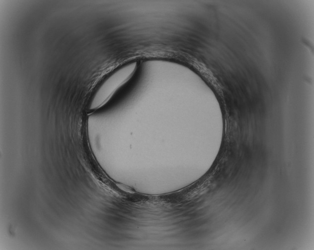 X0000097770201200804041159