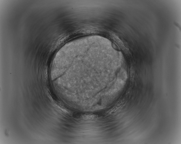 X0000097770202200804041159