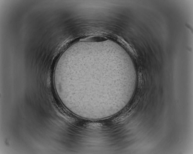 X0000097770203200804041159