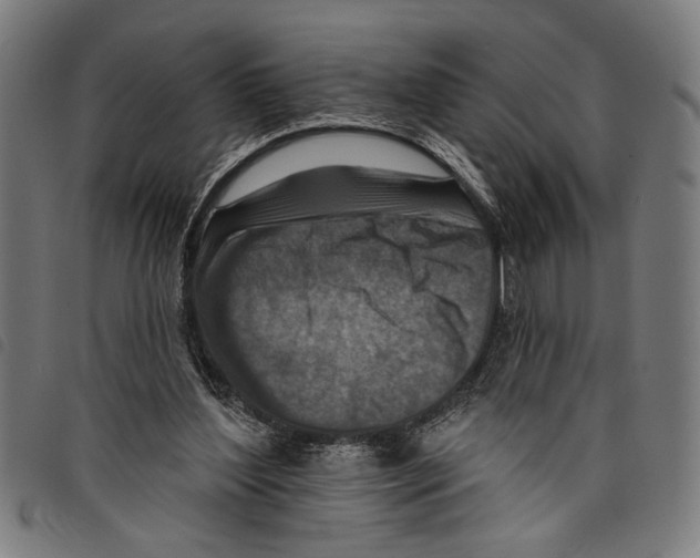 X0000097770204200804041159