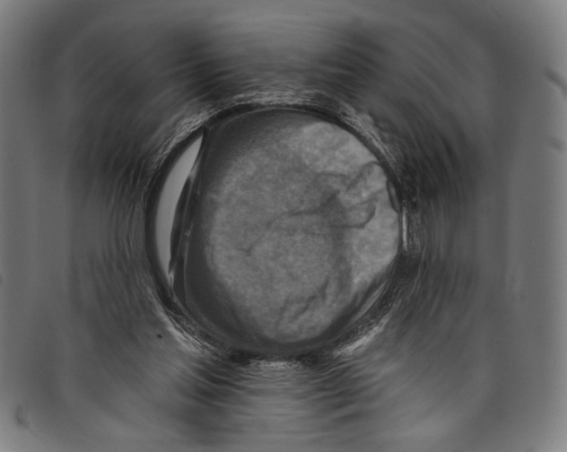 X0000097770205200804041159