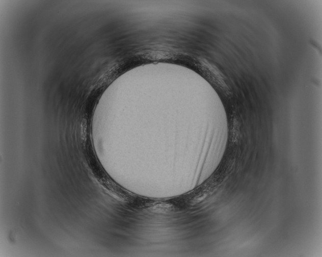 X0000097770210200804041159