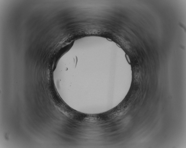 X0000097770211200804041159