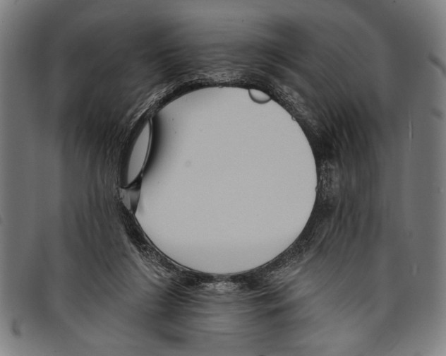X0000097770212200804041159