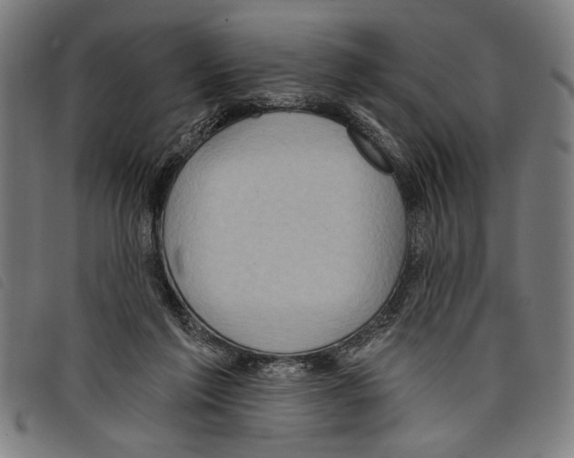 X0000097770213200804041159
