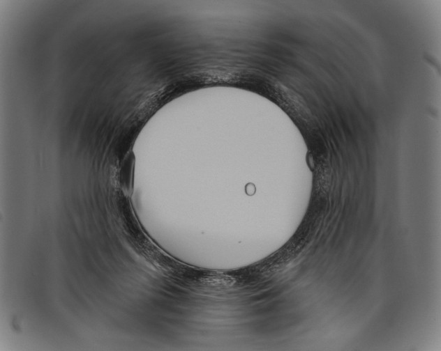 X0000097770215200804041159