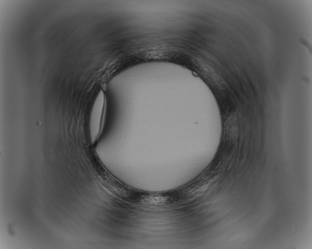 X0000097770217200804041159