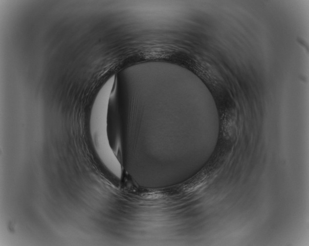 X0000097770219200804041159