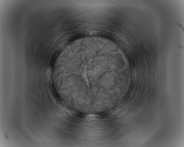 X0000097770222200804041159