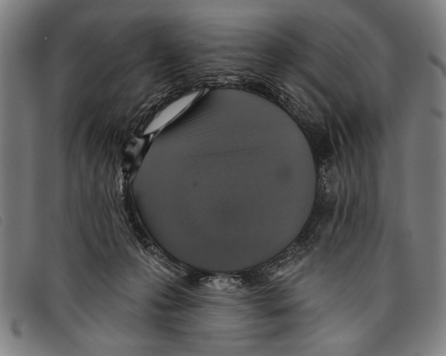 X0000097770223200804041159