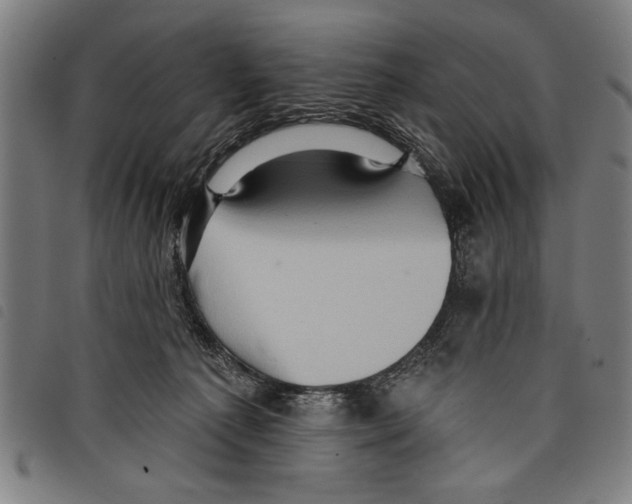 X0000097770225200804041159
