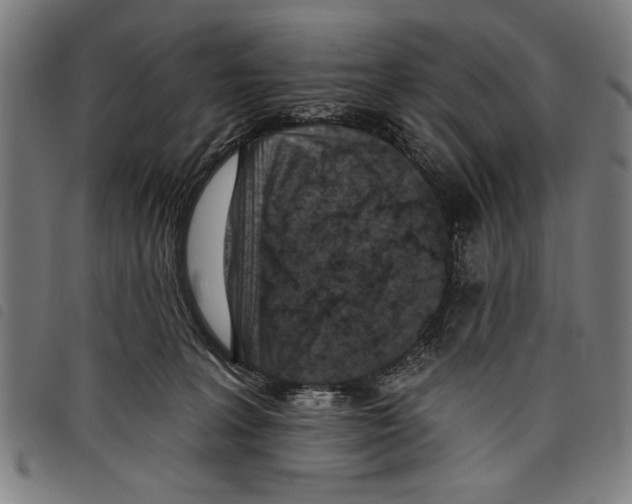 X0000097770227200804041159