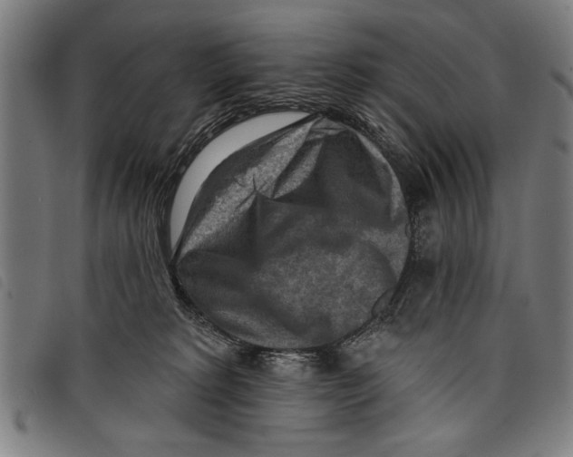 X0000097770229200804041159