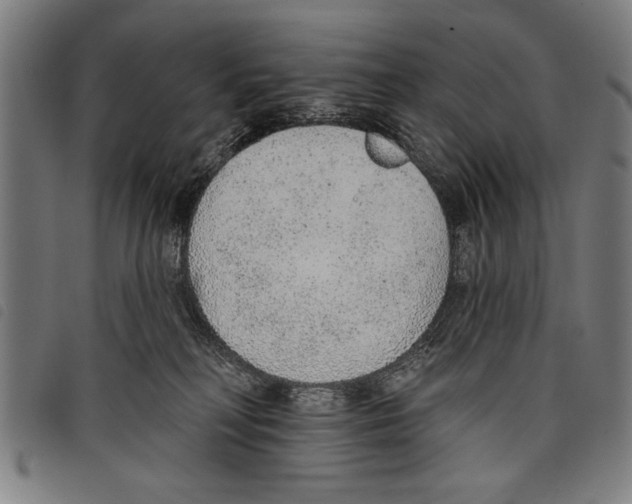 X0000097770230200804041159