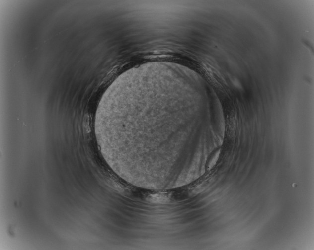 X0000097770232200804041159