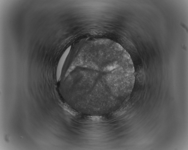X0000097770233200804041159