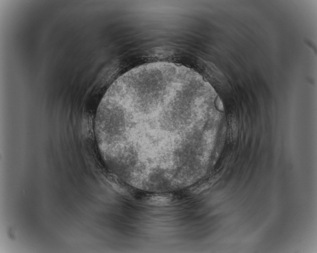 X0000097770236200804041159