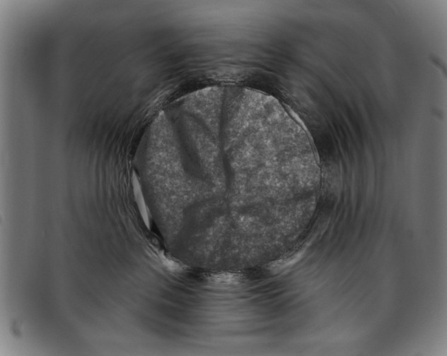 X0000097770237200804041159