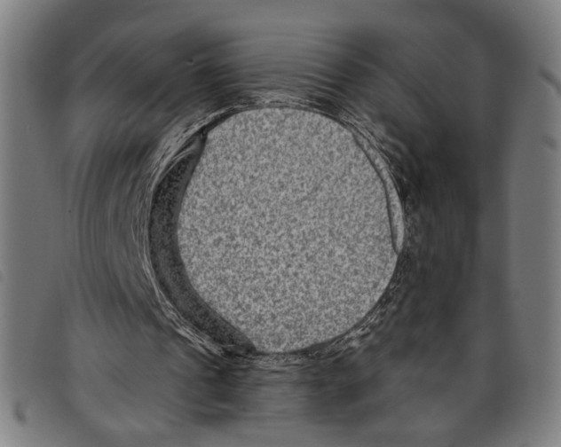 X0000097770241200804041158