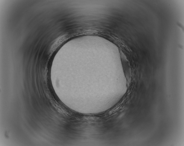 X0000097770242200804041158