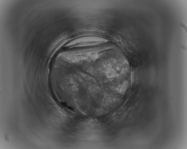 X0000097770243200804041158