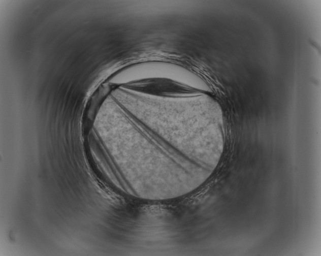 X0000097770244200804041158