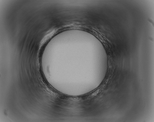X0000097770245200804041158