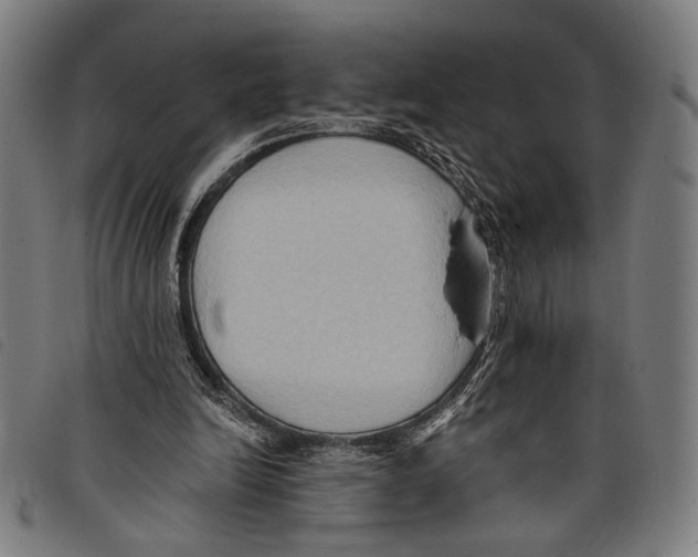 X0000097770246200804041158
