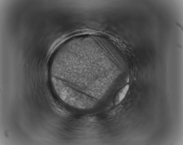 X0000097770247200804041158