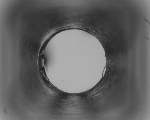 X0000097770248200804041158