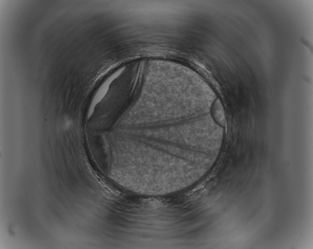 X0000097770249200804041158