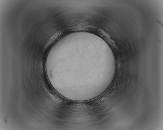 X0000097770250200804041158