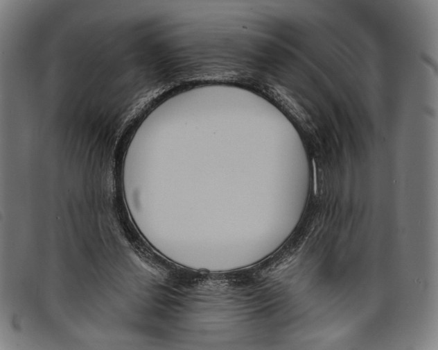 X0000097770252200804041158