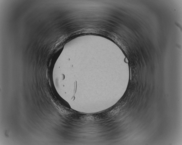 X0000097770253200804041158