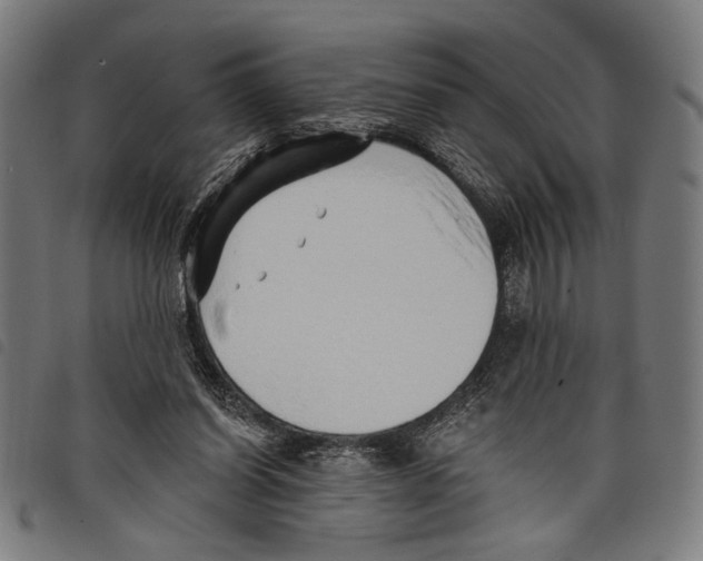 X0000097770254200804041158