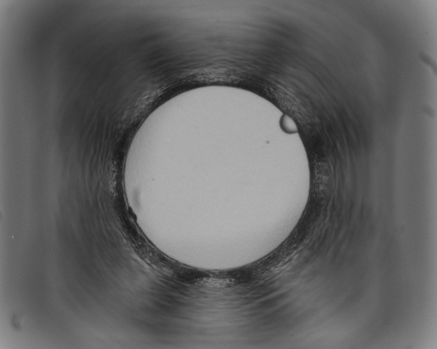 X0000097770255200804041158