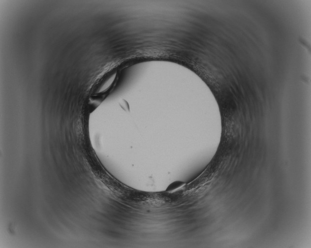 X0000097770256200804041158