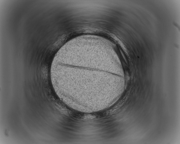 X0000097770257200804041158